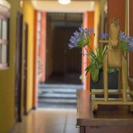 Give House Bed & Breakfast Guatemala City Bagian luar foto