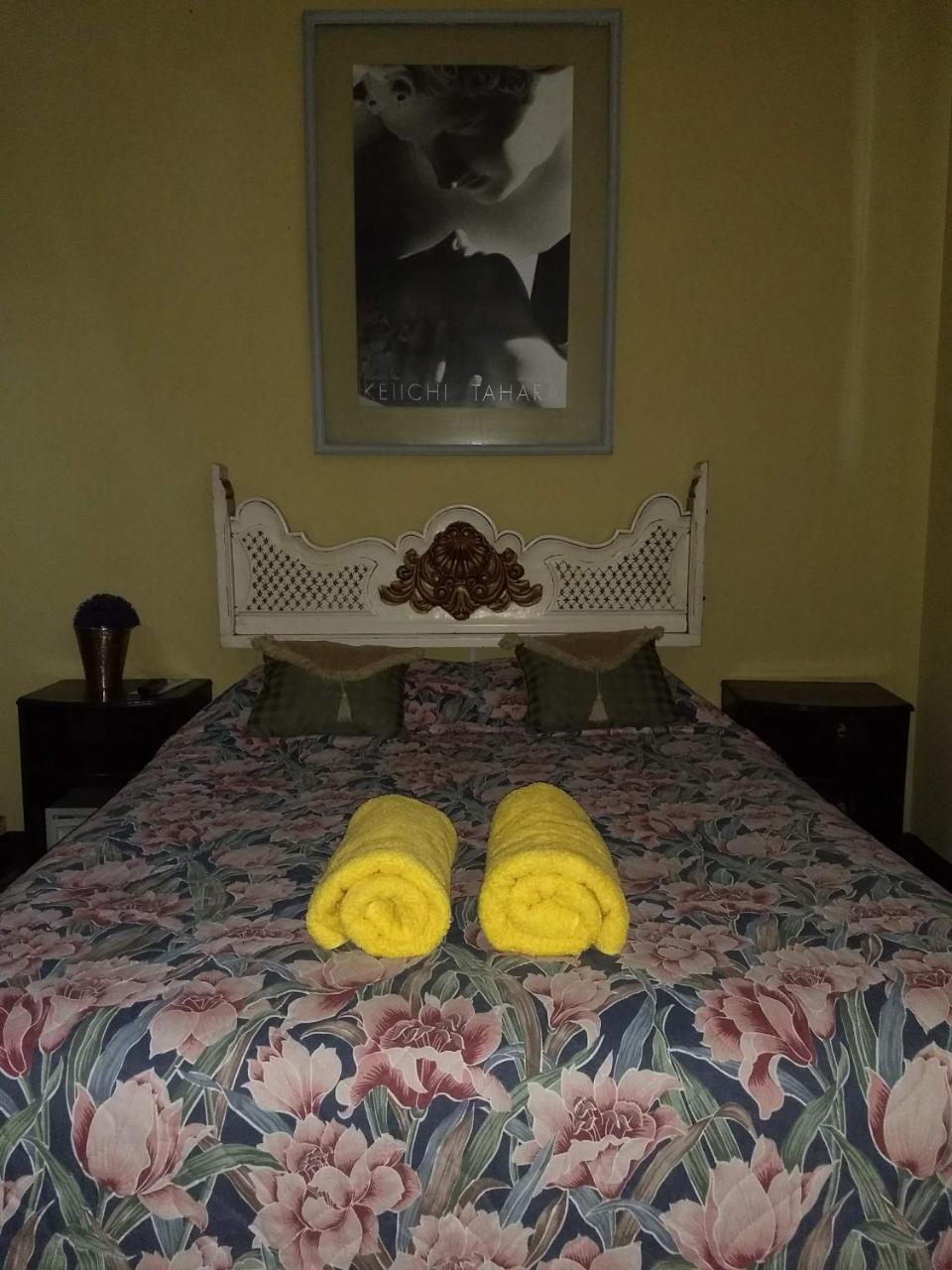 Give House Bed & Breakfast Guatemala City Bagian luar foto